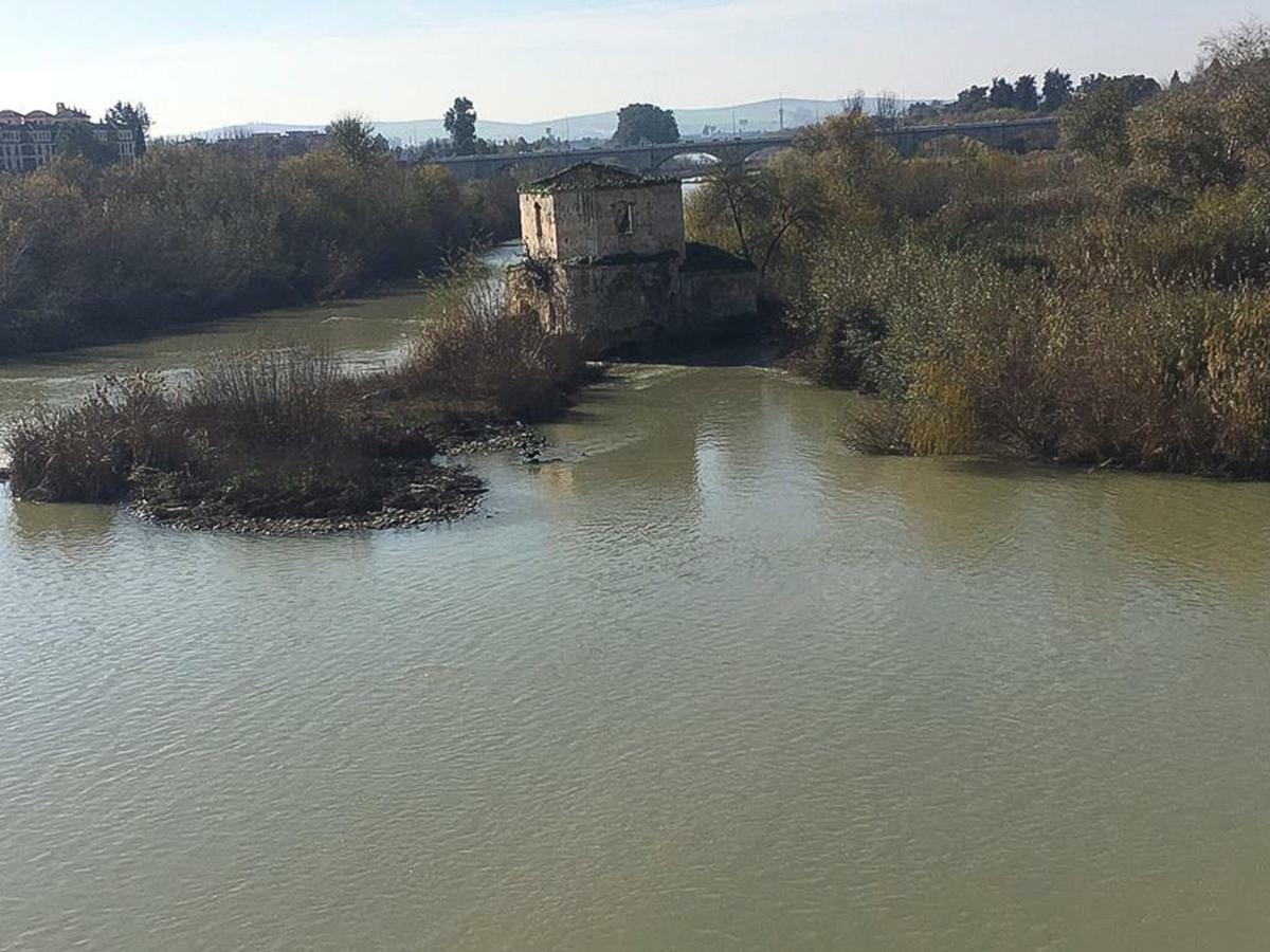 El Mirador De La Mezquita-Catedral Lägenhet Córdoba Exteriör bild